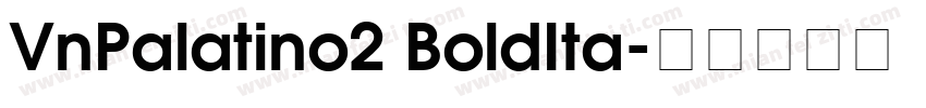 VnPalatino2 BoldIta字体转换